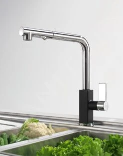 Franke Robinetterie - Mitigeur D'évier FG 0392.071, Chrome/onyx 115.0392.382 -Kitchen Soldes a2e5834c149ba0b77a94cf8a
