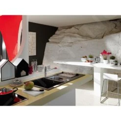 Franke Taros Neo - Mitigeur D'évier FC 6381.501, Inox 115.0596.381 -Kitchen Soldes e1d32e3307f1e01204d708c4 1