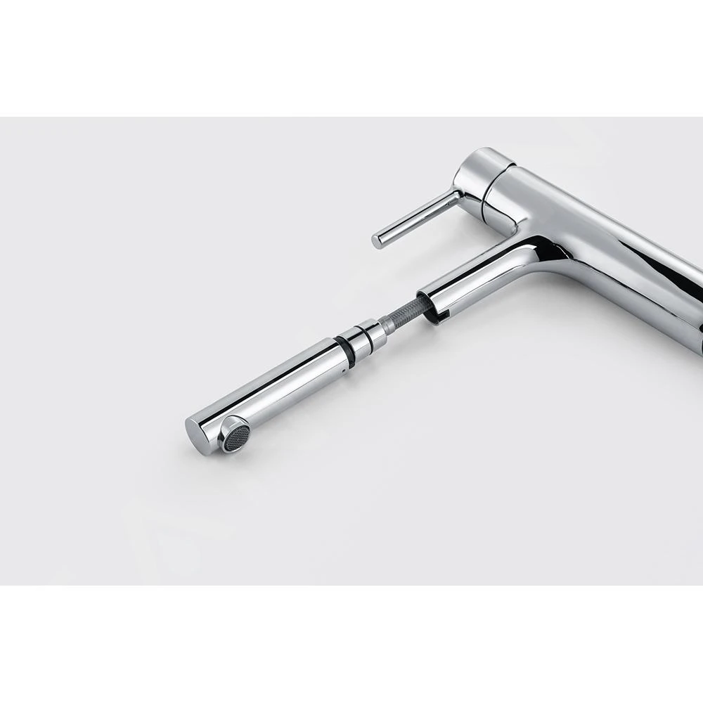 Franke Centro - Mitigeur D'évier FP 0098.031 Avec Douchette Extractible, Chrome 115.0600.098 5 Franke Centro - Mitigeur D'évier FP 0098.031 Avec Douchette Extractible, Chrome 115.0600.098 – Image 5